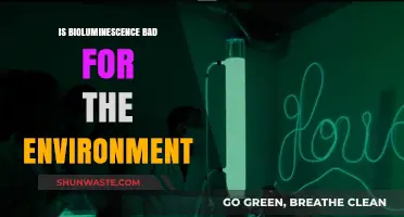 Bioluminescence's Environmental Impact: Harmful or Harmless Natural Glow?