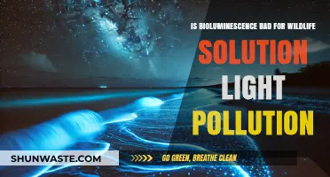 Bioluminescence: Friend or Foe of Wildlife?