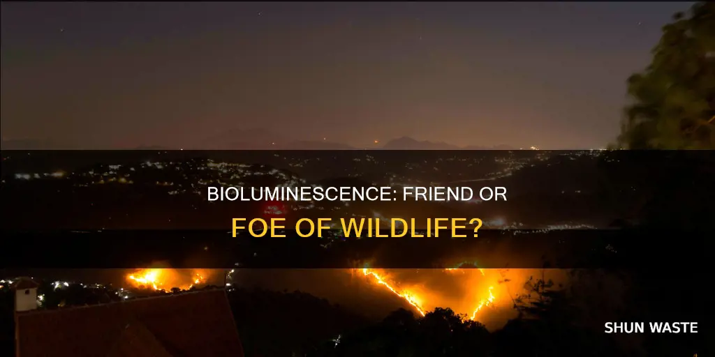 is bioluminescence bad for wildlife solution light pollution