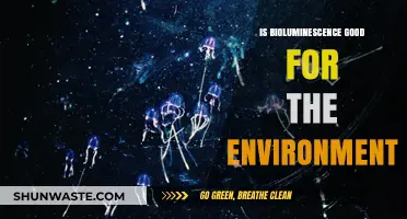 Bioluminescence: A Natural Wonder Benefiting Ecosystems and Environmental Health
