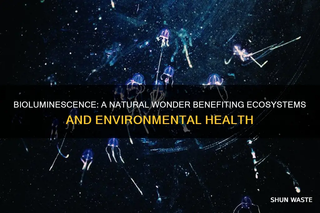 is bioluminescence good for the environment
