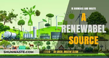 Biomass and Waste: Are They Truly Renewable Energy Sources?