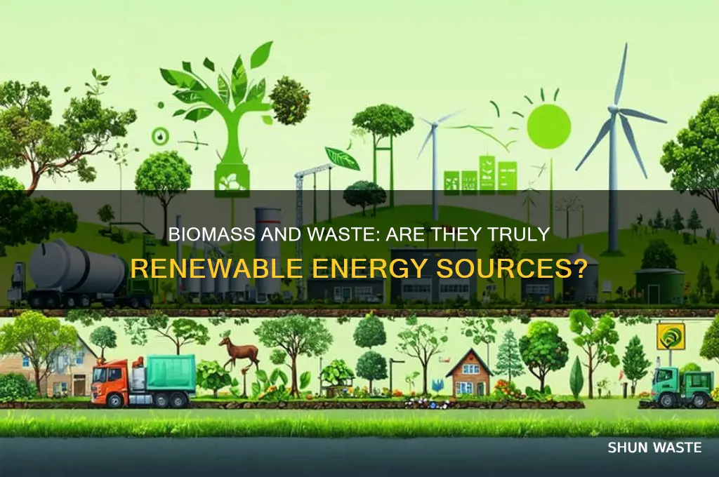 is biomass and waste a renewabel source