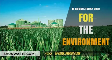 Biomass Energy: Eco-Friendly Solution or Environmental Concern?
