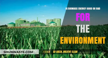 Biomass Energy: Environmental Savior or Hidden Climate Culprit?