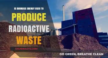 Biomass Energy and Radioactive Waste: Debunking the Myths