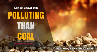 Biomass vs Coal: Which Energy Source is More Polluting?