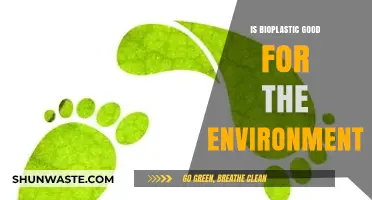 Bioplastics and the Environment: Sustainable Solution or Greenwashed Myth?