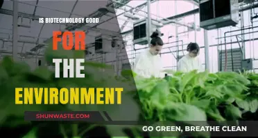 Biotechnology's Environmental Impact: Sustainable Solutions or Hidden Risks?