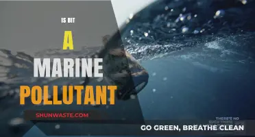 The Impact of Bit Pollution on Marine Life