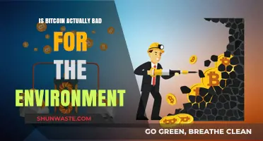 Bitcoin's Environmental Impact: Myth or Major Ecological Concern?