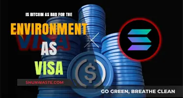 Bitcoin vs. Visa: Environmental Impact Compared – Which is Worse?