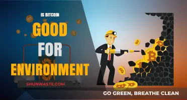 Is Bitcoin Eco-Friendly? Exploring Its Environmental Impact and Sustainability