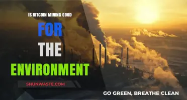Bitcoin Mining's Environmental Impact: Sustainable or Harmful Practice?
