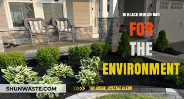 Is Black Mulch Eco-Friendly? Environmental Impacts Explained