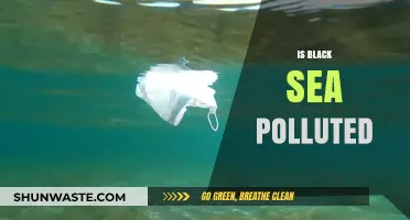 Black Sea Pollution: A Troubling Reality