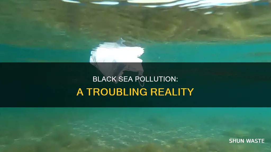 is black sea polluted
