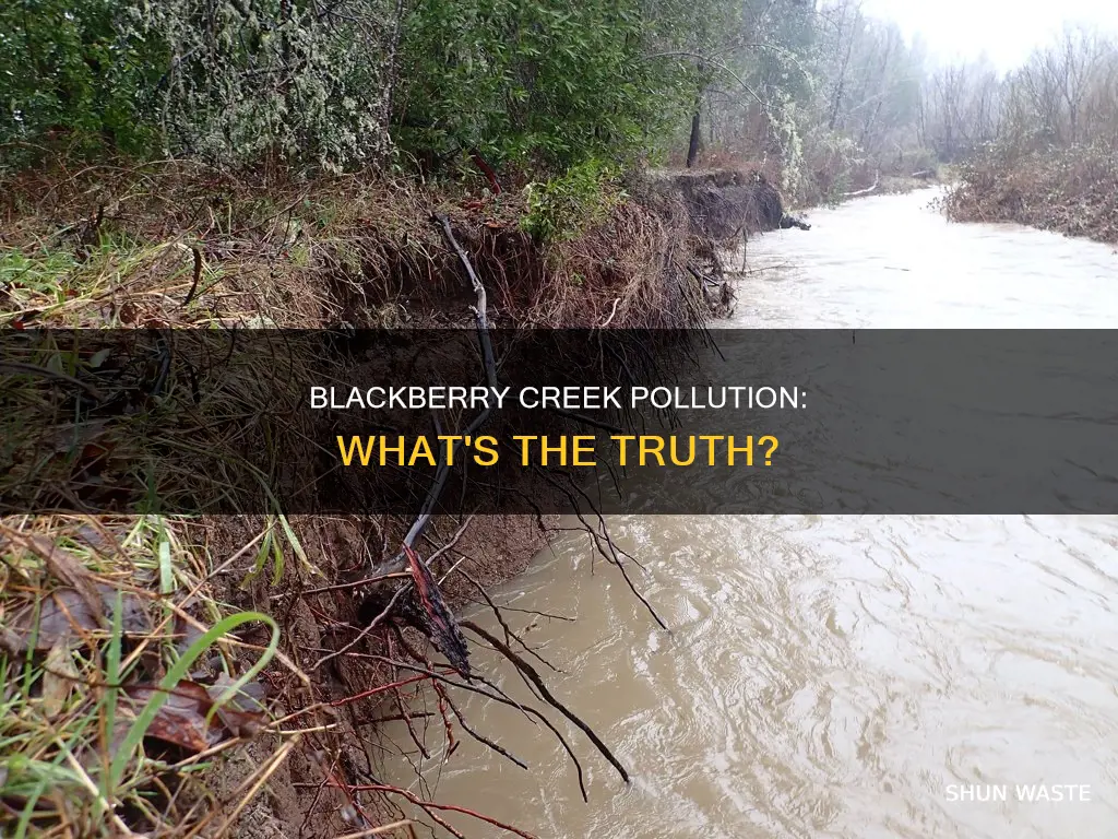is blackberry creek polluted