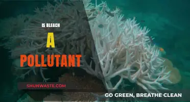 Bleach: A Household Pollutant?