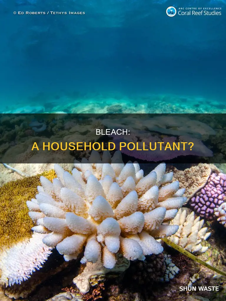 is bleach a pollutant