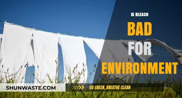 Is Bleach Harmful to the Environment? Exploring Its Ecological Impact