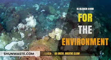 Is Bleach Eco-Friendly? Uncovering Its Environmental Impact and Alternatives