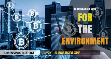 Blockchain's Environmental Impact: Sustainable Solution or Ecological Challenge?