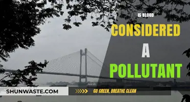 Blood: A Pollutant or Not?
