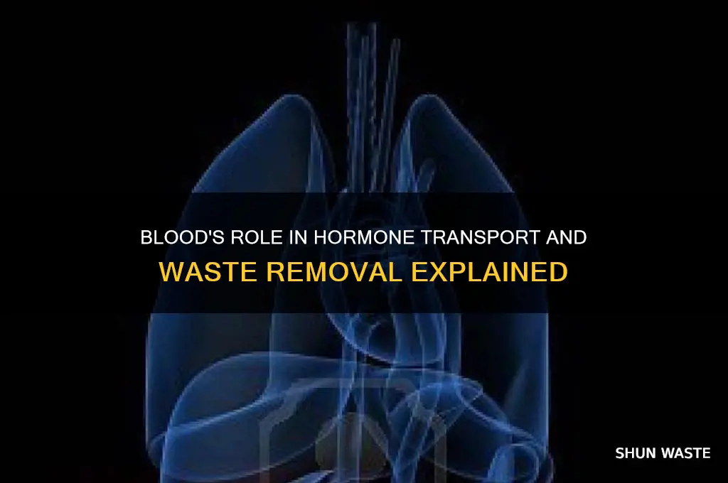 is blood responsible for hormones and wastes
