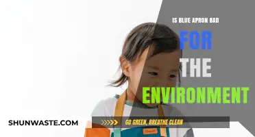 Is Blue Apron Eco-Friendly? Unpacking Its Environmental Impact