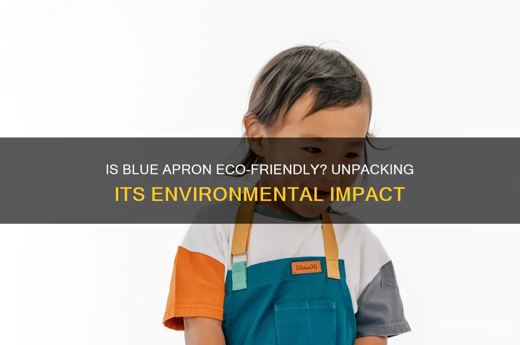 is blue apron bad for the environment