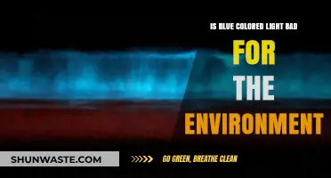 Blue Light's Environmental Impact: Harmful Effects and Sustainable Solutions