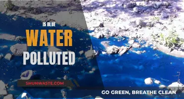 Is Blue Water Safe? Unveiling the Truth