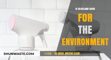 Is Blueland Eco-Friendly? Unpacking Its Environmental Impact and Benefits