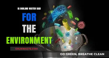 Boiling Water's Environmental Impact: Sustainable Practices for a Greener Future
