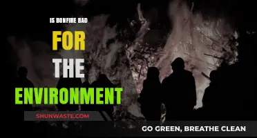 Bonfires and the Environment: Uncovering the Hidden Ecological Impact