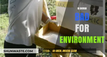 Is Borax Eco-Friendly? Uncovering Its Environmental Impact and Safety
