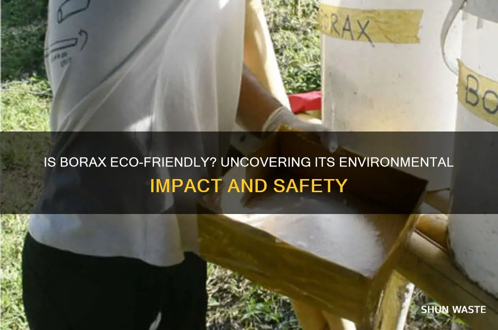 is borax bad for environment