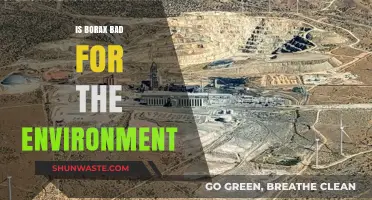 Is Borax Eco-Friendly? Uncovering Its Environmental Impact and Safety