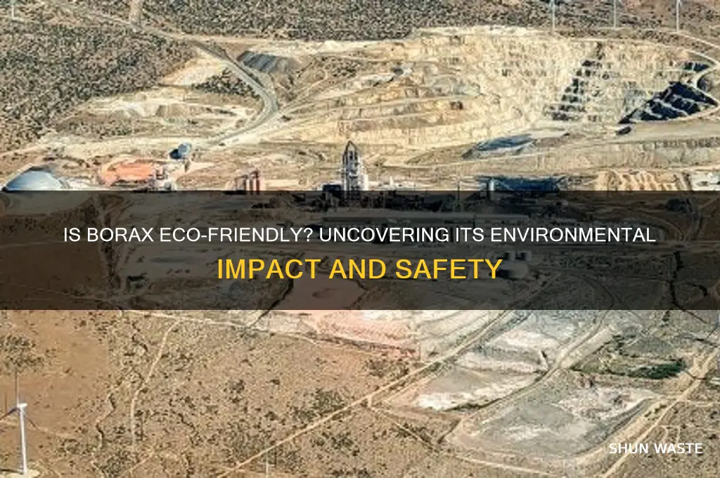 is borax bad for the environment