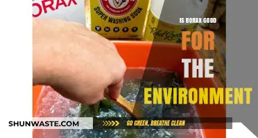 Is Borax Eco-Friendly? Uncovering Its Environmental Impact and Sustainability