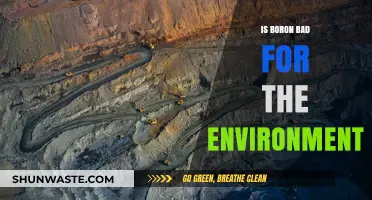 Is Boron Harmful? Environmental Impacts and Sustainability Concerns Explored