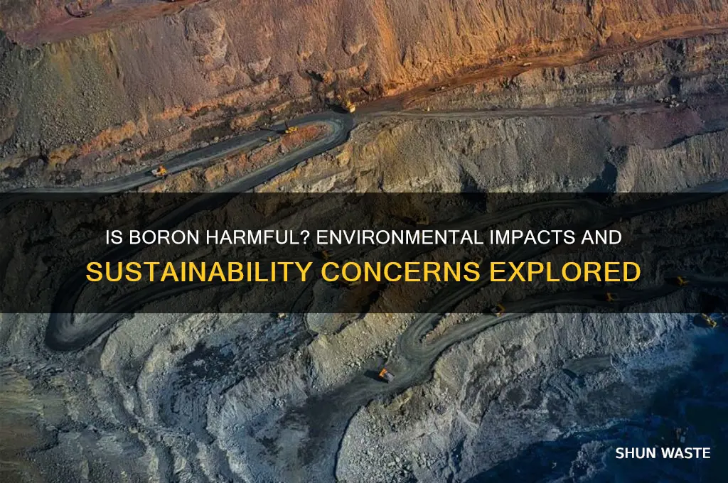is boron bad for the environment