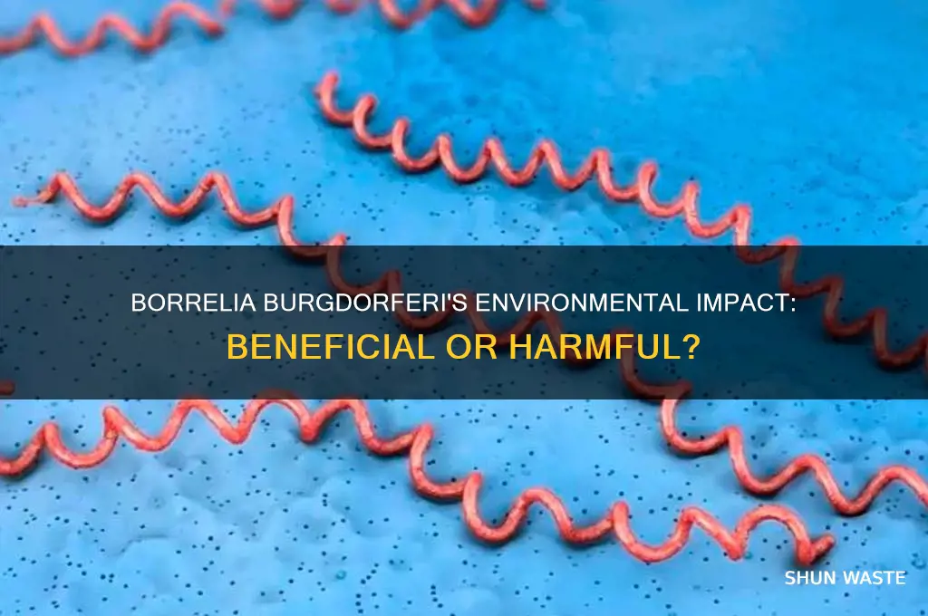 is borrelia burgdorferi good for the environment