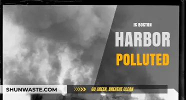 Boston Harbor: A Polluted Paradise?