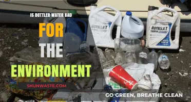 Bottled Water's Environmental Impact: Uncovering the Hidden Ecological Costs