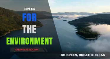 Is BPA Harmful? Environmental Impact and Sustainable Alternatives Explained