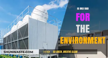 Is Bromine (Br2) Harmful to Our Environment? Exploring the Impact