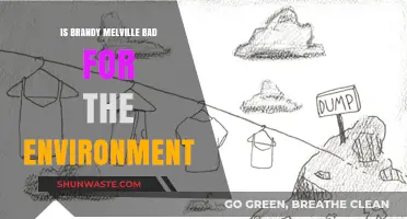 Is Brandy Melville Harming Our Planet? Environmental Impact Explored