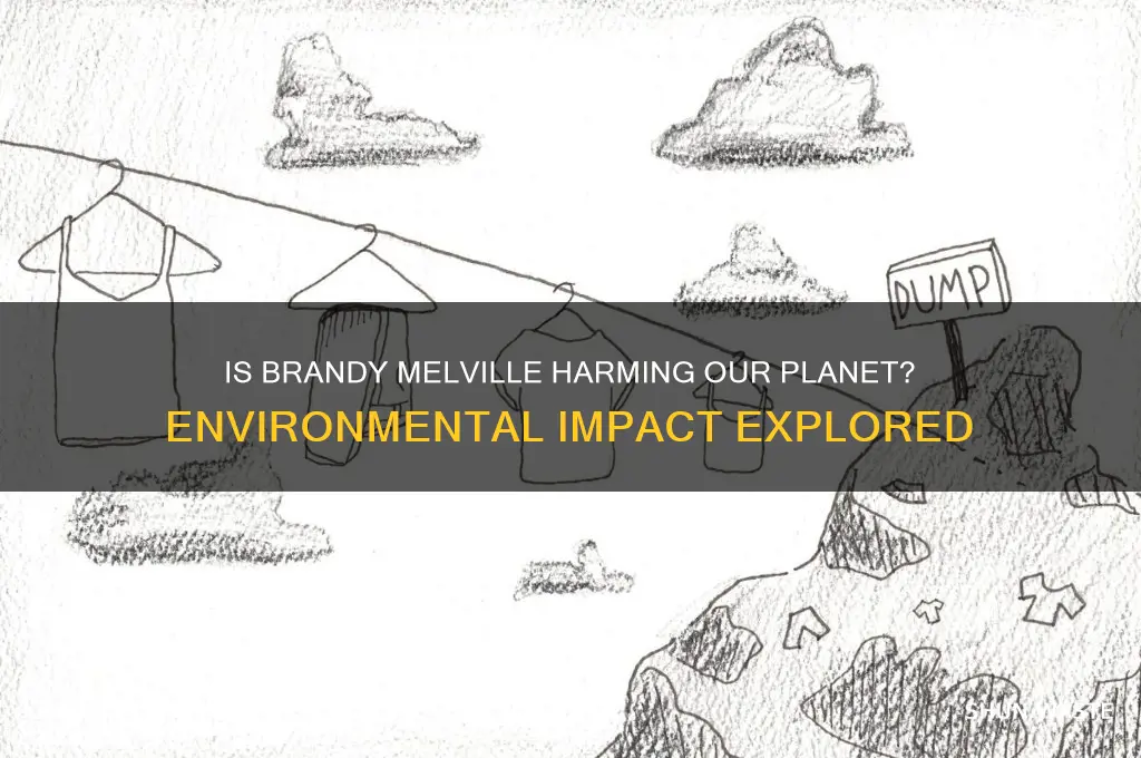 is brandy melville bad for the environment